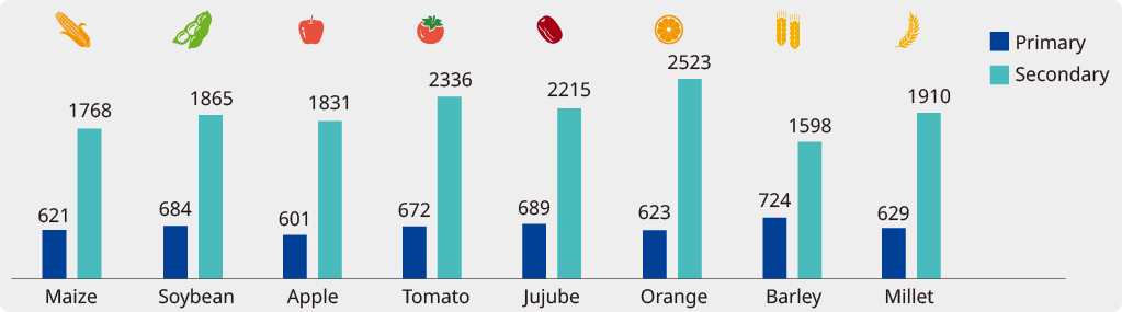 Bar chart of widely-targeted plant metabolomics project experience showing detected metabolites per crop, with primary (blue) and secondary (green) counts across maize, soybean, apple, tomato, jujube, orange, barley, and millet.